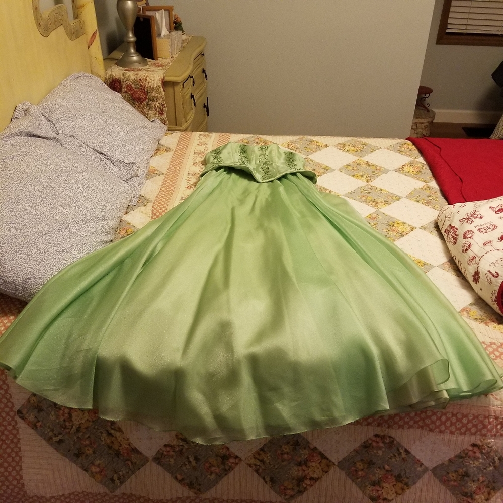 Strapless De Laru formal gown